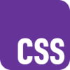 CSS logo